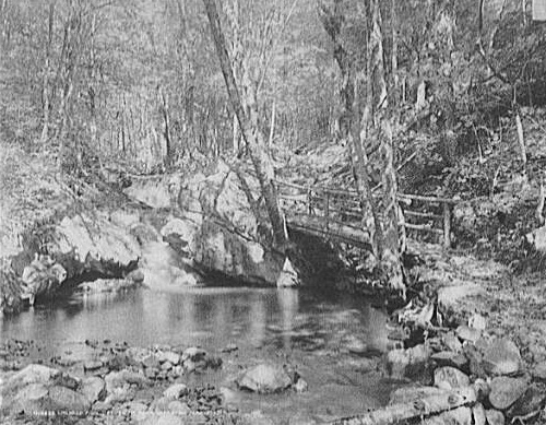 176Emerald_Pool_Ossipee_Park_1906