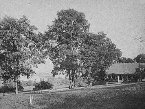 176Overlooking_Center_Harbor_1906