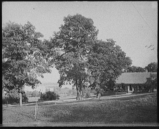 176Overlooking_Lake_at_Center_Harbor_1906