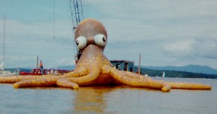 569Octopus