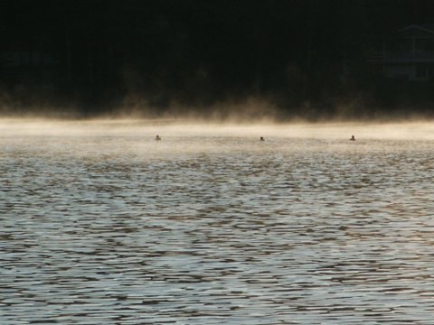 198PICT00041
