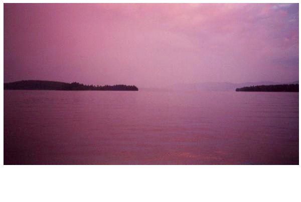 85purplerain2