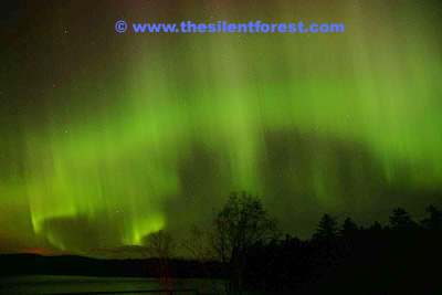 F04-aurora-0062