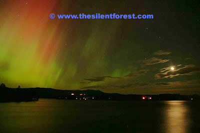 F04-aurora-0066