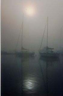 sailboatsfog