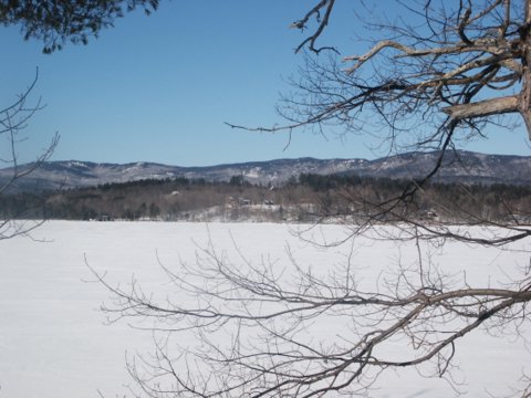 198PICT00161