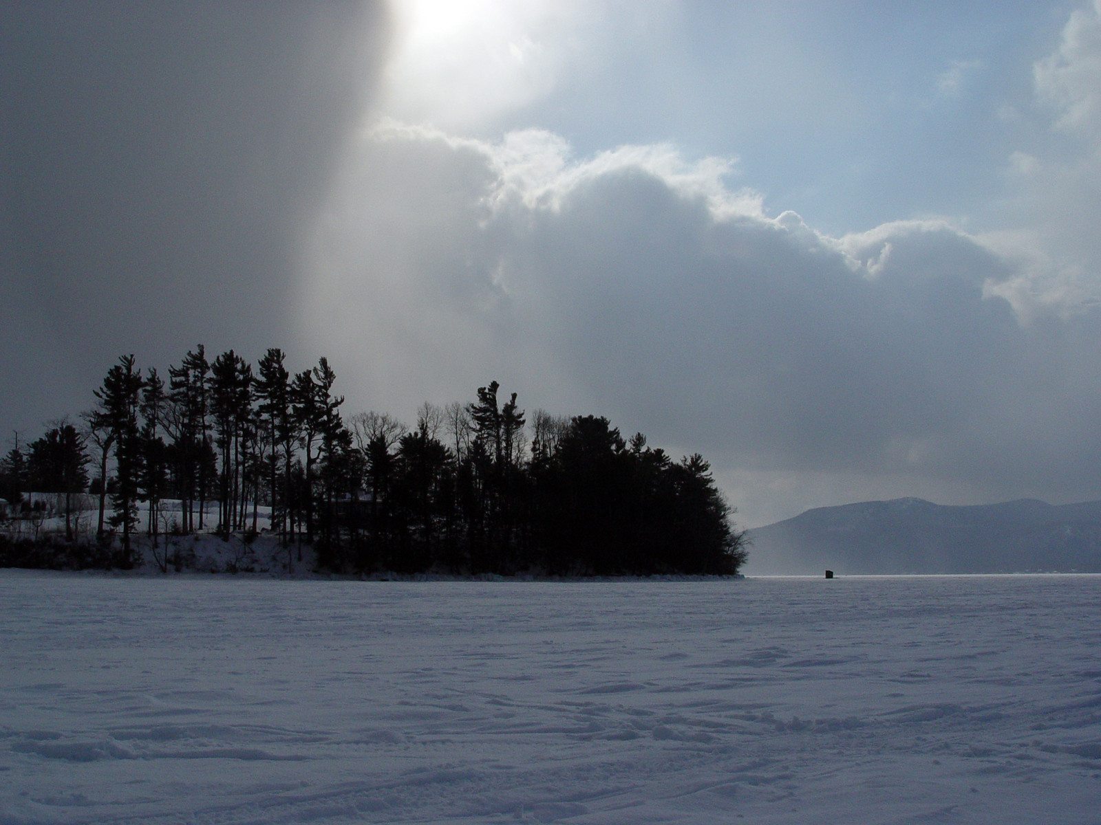 DSC03491-1600w