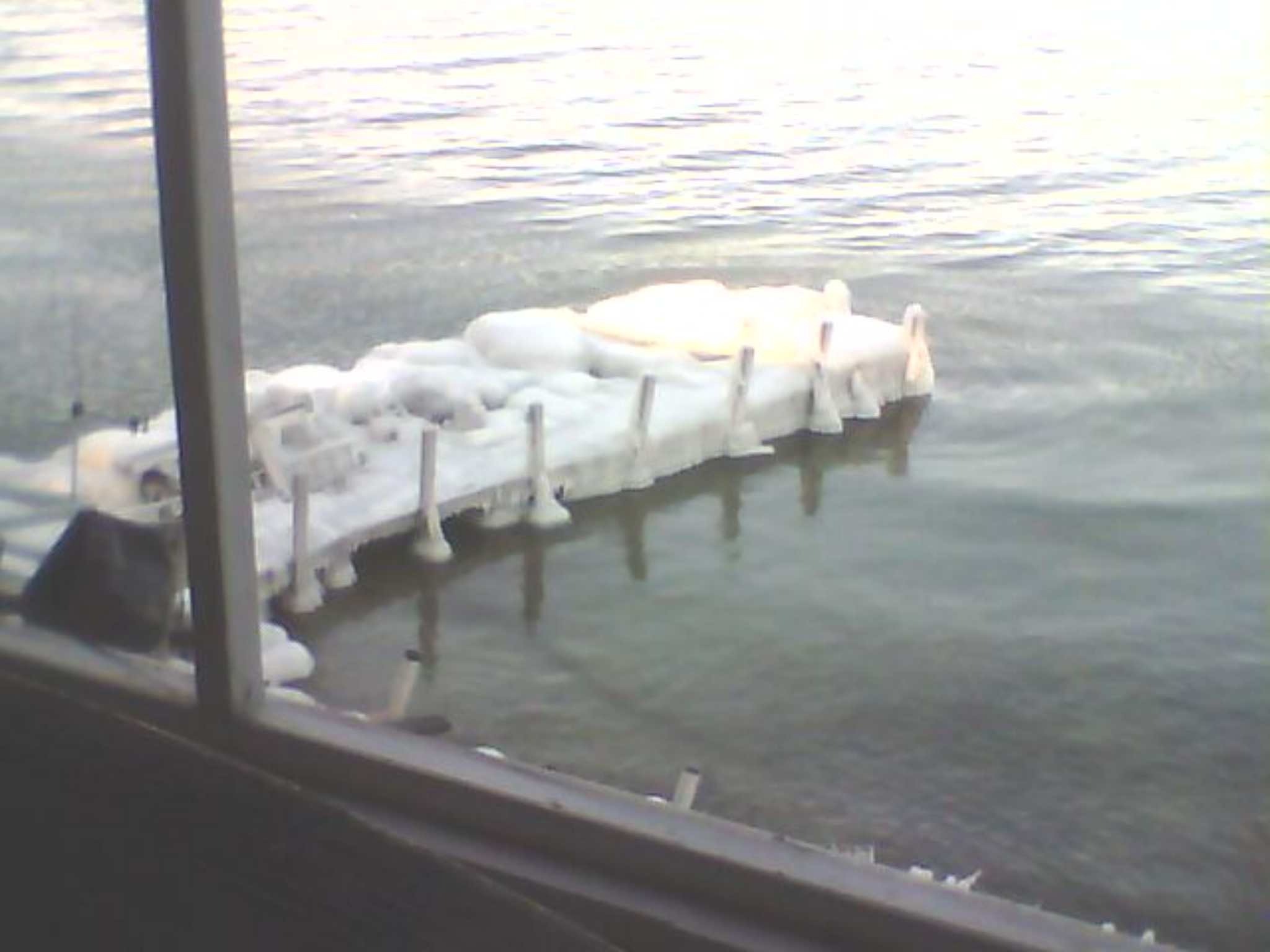 dock