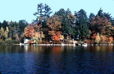 Foliage_near_Lee_s_Mills