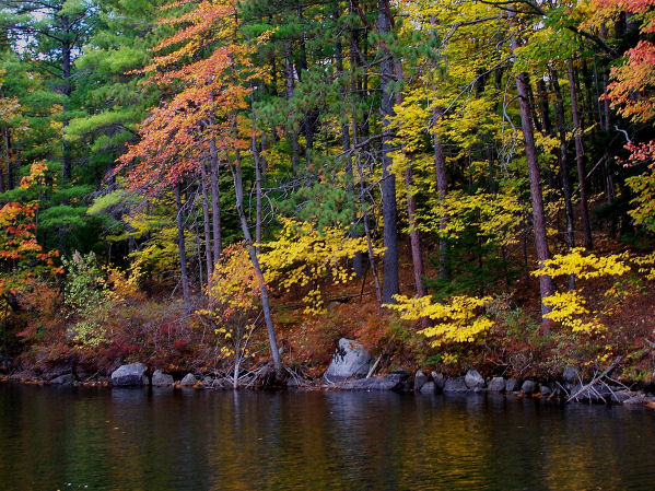 nh_oct15_048