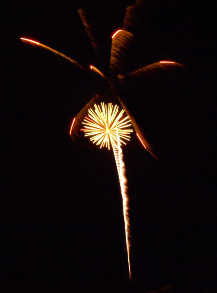 firework2