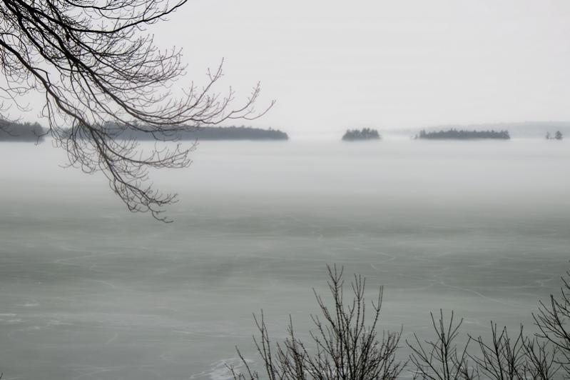 Name:  fog_3-10-16_lincoln_park.jpg
Views: 1256
Size:  46.3 KB
