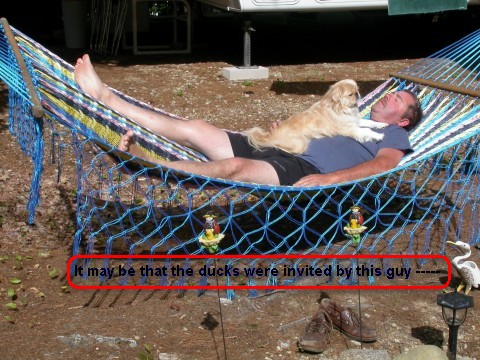 Name:  kenny & Hollie hammock2.jpg
Views: 1075
Size:  79.8 KB