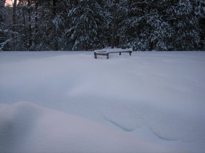 Name:  Snow Bound 2-28-08  3.jpg
Views: 710
Size:  21.0 KB