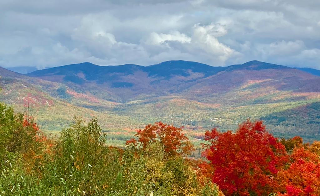 Name:  bearnotch-oct.jpg
Views: 1192
Size:  112.5 KB