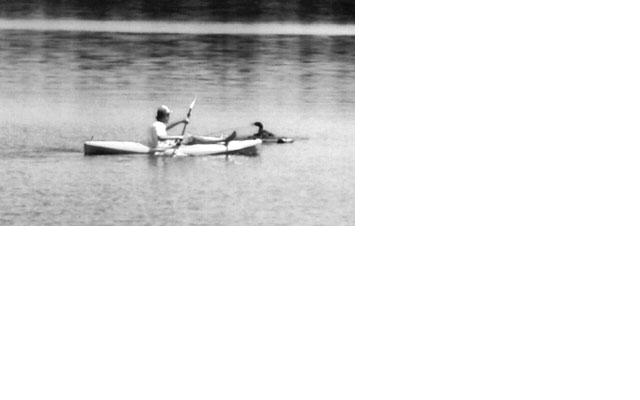 Name:  kayak.JPG
Views: 9650
Size:  15.6 KB