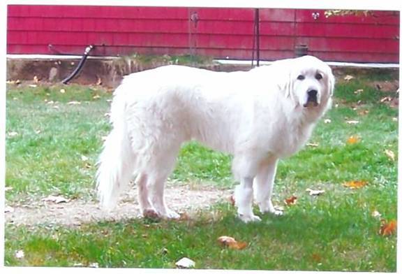 Name:  clip_image002.jpg
Views: 2415
Size:  35.3 KB