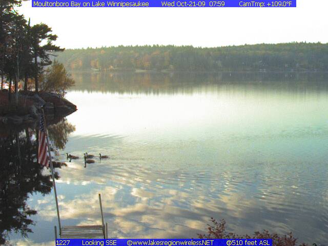 Name:  netcam-4.jpg
Views: 1033
Size:  41.3 KB