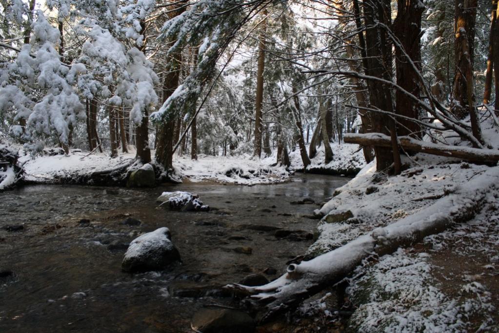 Name:  Guntock River Gilford NH 12-05-09  004.jpg
Views: 1431
Size:  154.6 KB
