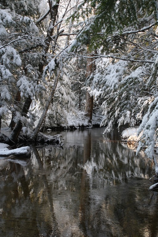 Name:  Guntock River Gilford NH 12-05-09  005.jpg
Views: 1463
Size:  199.5 KB