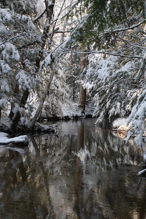 Name:  Guntock River Gilford NH 12-05-09  005.jpg
Views: 1258
Size:  199.5 KB