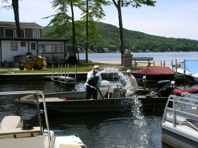 Name:  Marina Milfoil Treatment 6-09.JPG
Views: 1835
Size:  156.3 KB