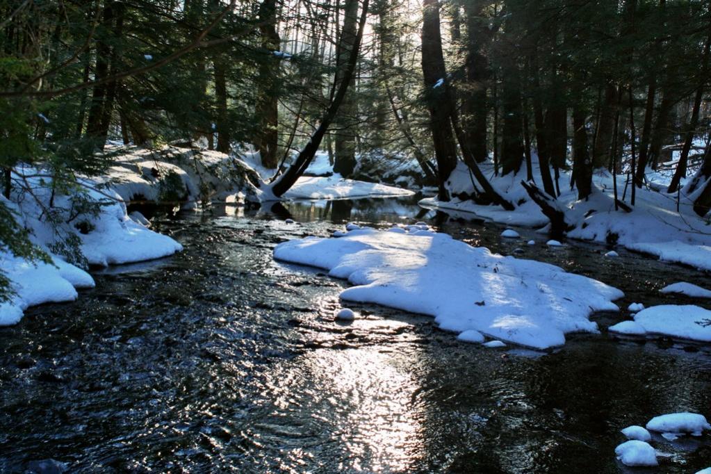 Name:  Gunstock River 1-1-11 1.jpg
Views: 539
Size:  157.2 KB