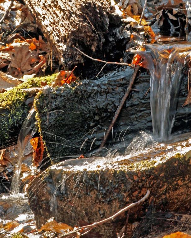 Name:  Red Brook at Locke Hill Gilford.jpg
Views: 1338
Size:  124.9 KB
