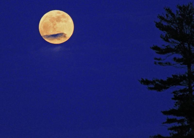 Name:  Supermoon Winnipesaukee #2.jpg
Views: 815
Size:  27.9 KB