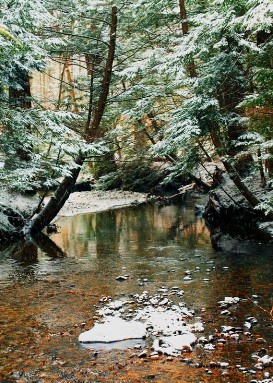 Name:  gunstock_river_gilford_12-25-12_merry_christmas-qp.jpg
Views: 772
Size:  128.2 KB