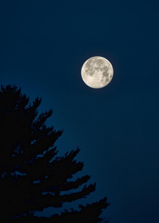 Name:  Super Moon setting 6-24-13.jpg
Views: 10280
Size:  16.6 KB