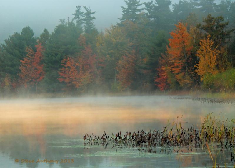 Name:  Lilly Pond Fall Colors 2 sig.jpg
Views: 914
Size:  53.1 KB
