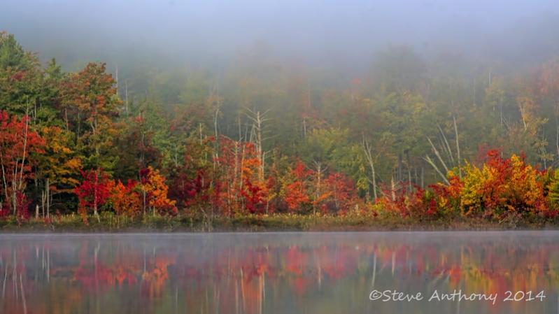 Name:  fall_arrives_signed.jpg
Views: 986
Size:  45.4 KB