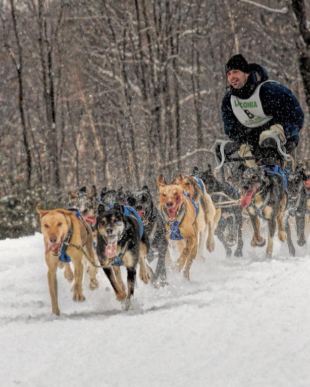 Name:  sled_dog_2014_5-FAR.jpg
Views: 1240
Size:  84.7 KB