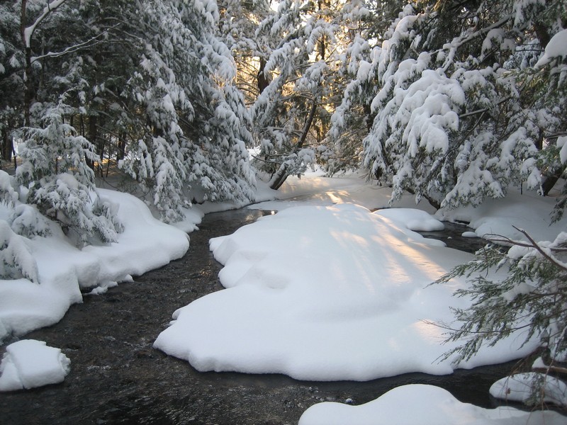 Name:  Gunstock Rive Gilford 1-19-09 1.jpg
Views: 948
Size:  181.9 KB