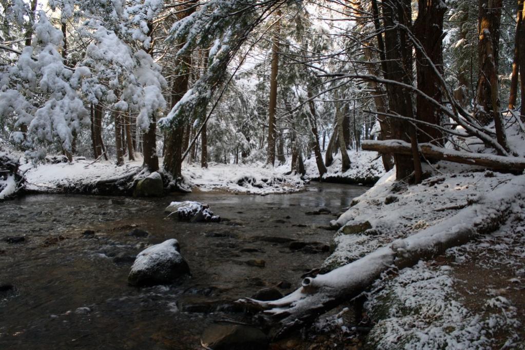 Name:  Guntock River Gilford NH 12-05-09  004.jpg
Views: 1217
Size:  154.6 KB