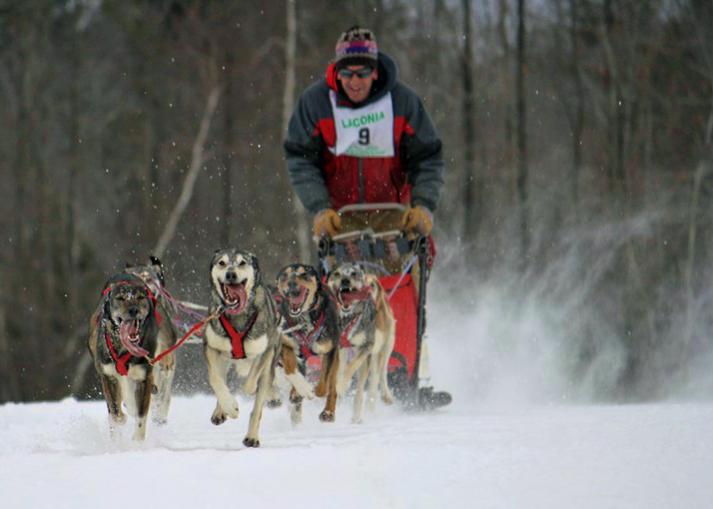 Name:  Laconia Sled Dog 2-13-2011 smaller 43.jpg
Views: 1801
Size:  37.4 KB