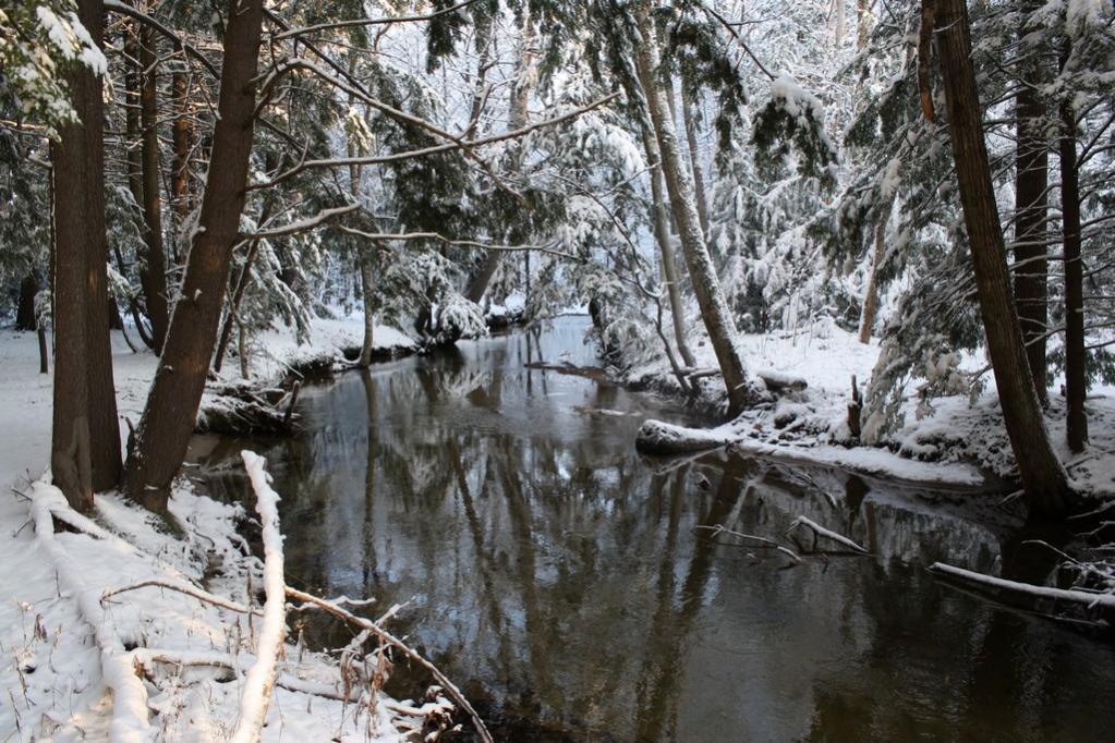 Name:  Guntock River Gilford NH 12-05-09  013.jpg
Views: 1147
Size:  160.7 KB