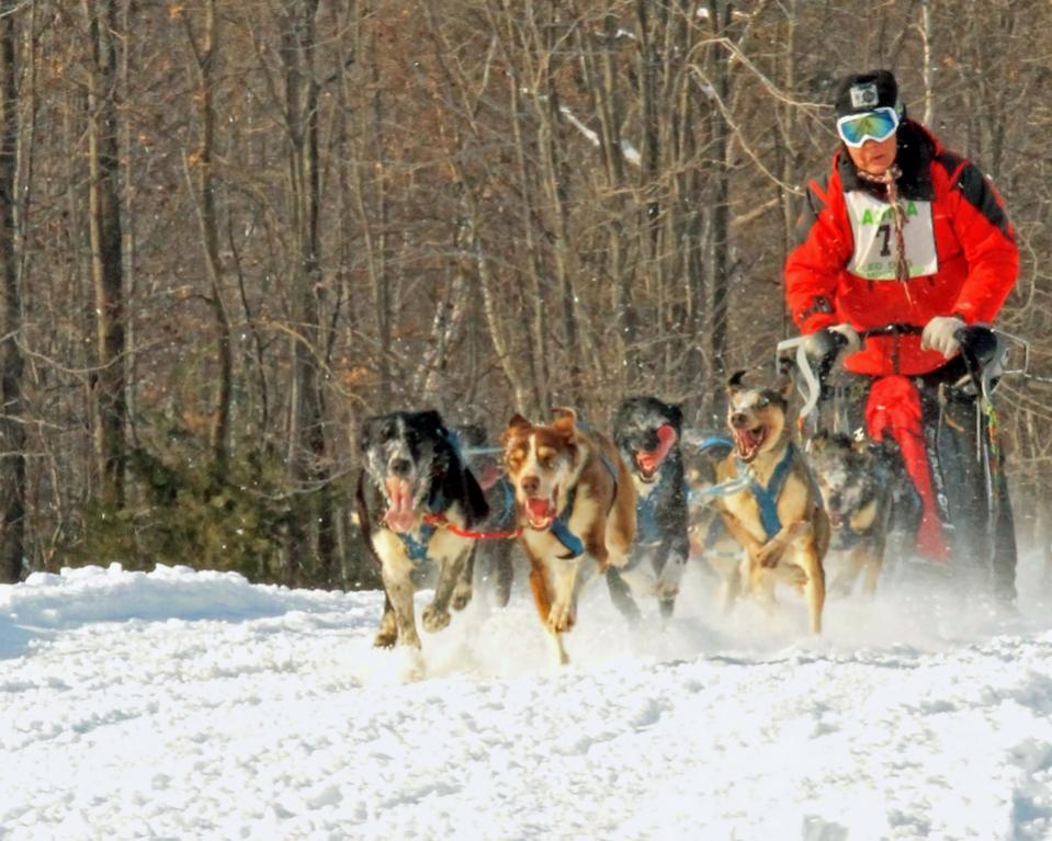 Name:  Sled Dog Day 2.jpg
Views: 1525
Size:  111.5 KB