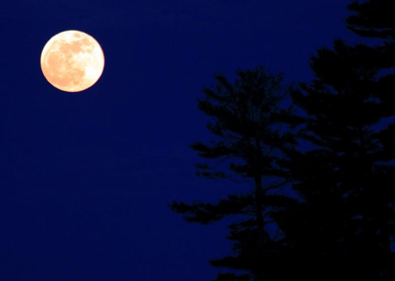 Name:  Supermoon Winnipesaukee 5-5-12 #1.jpg
Views: 838
Size:  17.5 KB