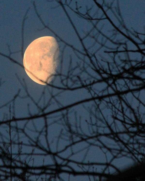 Name:  waning_gibbous_moon_4-11-12_winnipesaukee.jpg
Views: 500
Size:  41.8 KB