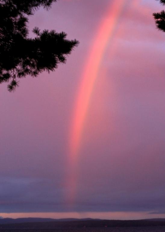 Name:  rainless_rainbow_9-5-12_2.jpg
Views: 723
Size:  23.2 KB