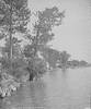 176Alon_the_Shore_of_Wolfeboro_Bay_1906.jpg