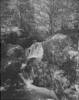 176Roaring_Falls_Ossipee_Park_1906.jpg