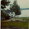 BAY_SIDE_INN_late_60_s.jpg