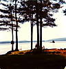Lake_Wentworth_1971_1.jpg