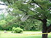 Img19198.jpg