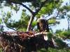 aug_09_112e.jpg