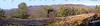 199BR_from_top_Avery_Hill2.jpg