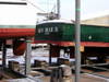 11Camp_Lawrence_2.jpg